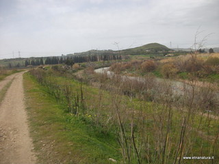 lle del Simeto-24-02-2013 12-34-26